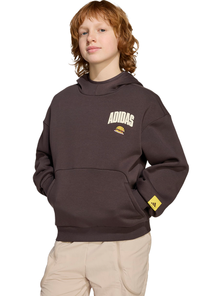 adidas Kids' x The Simpsons Cotton Blend Hoodie, Brown, Brown