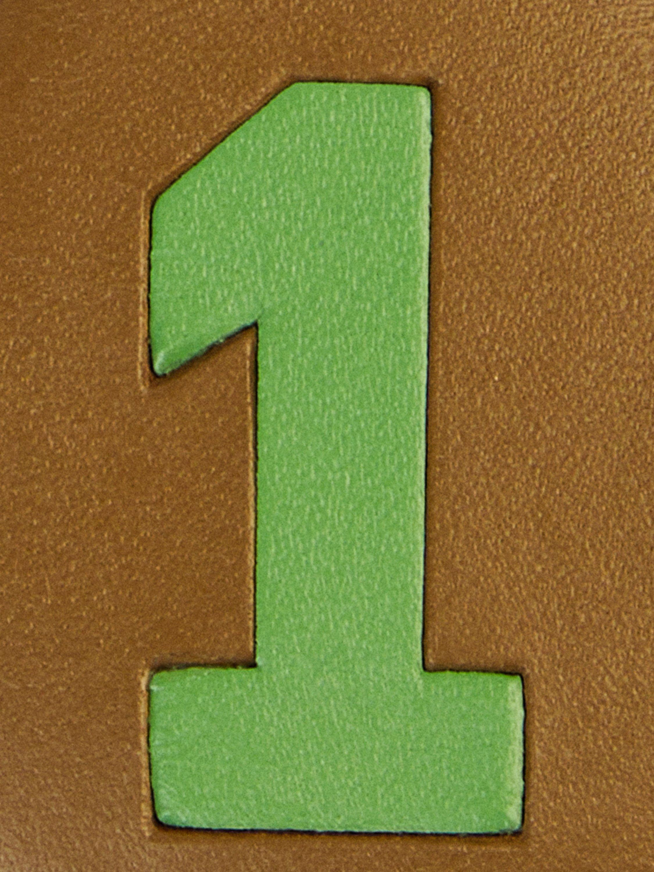Product image 4 of 4, which shows Hackett London 1 Leather Keychain, Brown/Green