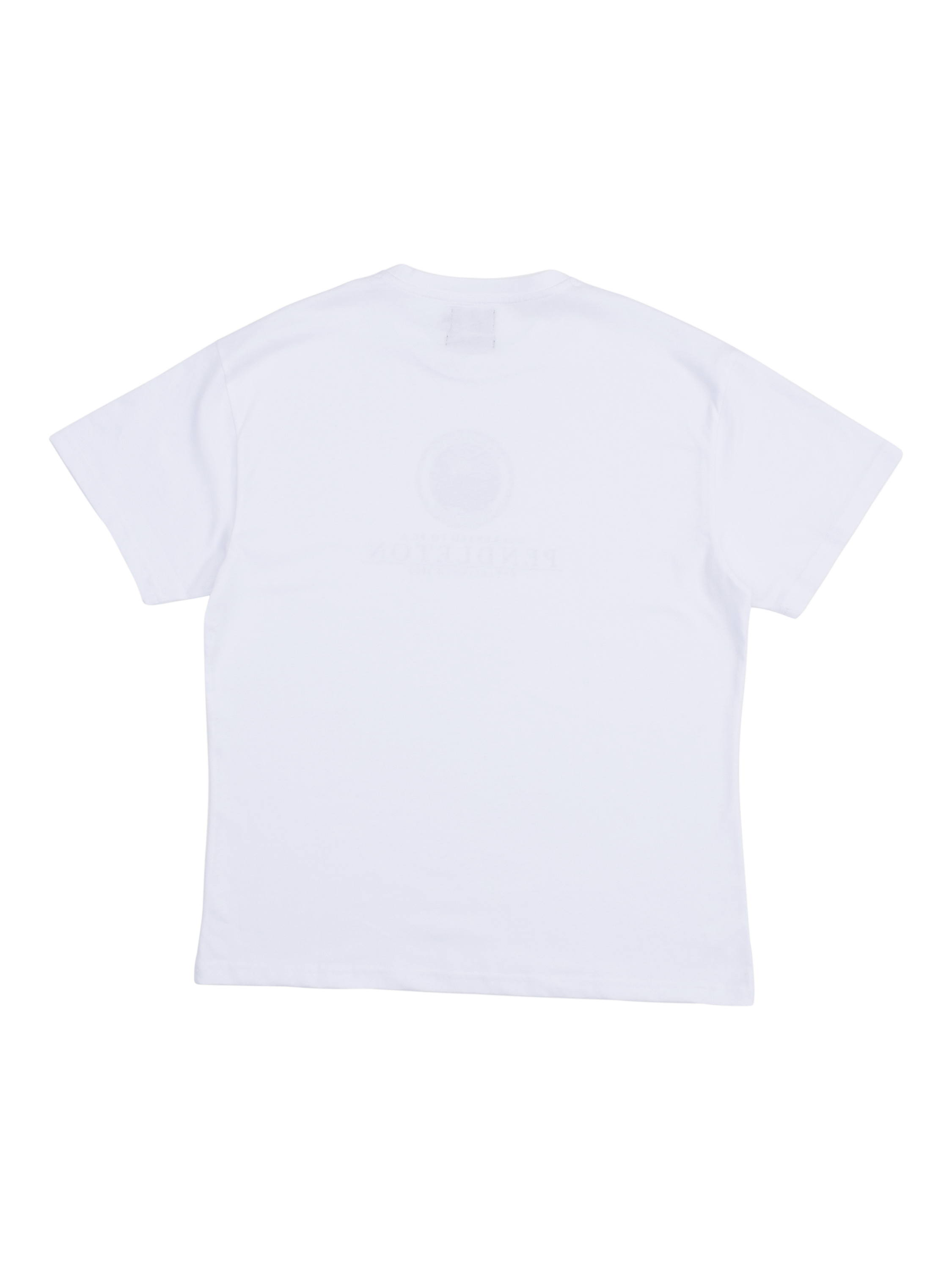 Product image 4 of 4, which shows Pendleton Cotton Regular Fit Short Sleeve Collegiate Graphic T-Shirt, White, S