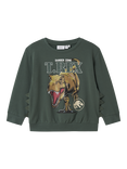 NAME IT Kids' Cotton Jurassic World T-Rex Sweatshirt, Garden Topiary