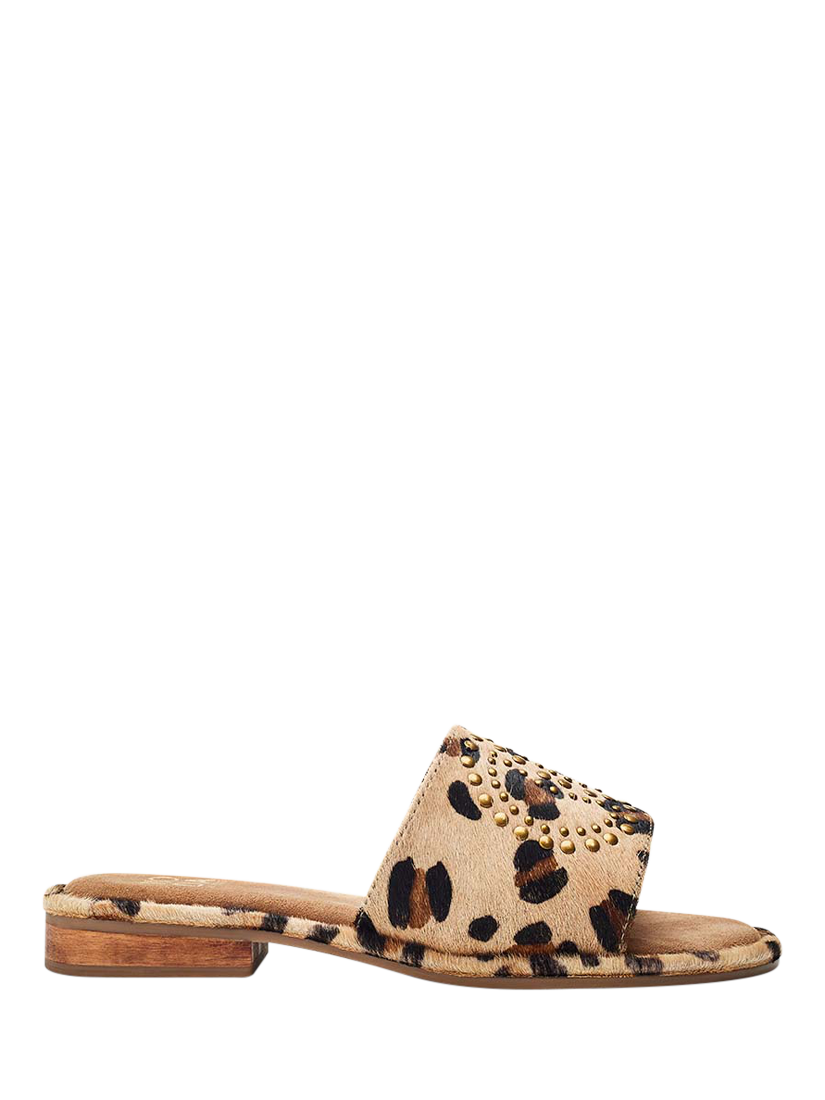 Product image 1 of 4, which shows Moda in Pelle Ferula Leopard Print Leather Sandals, Leopard, 6