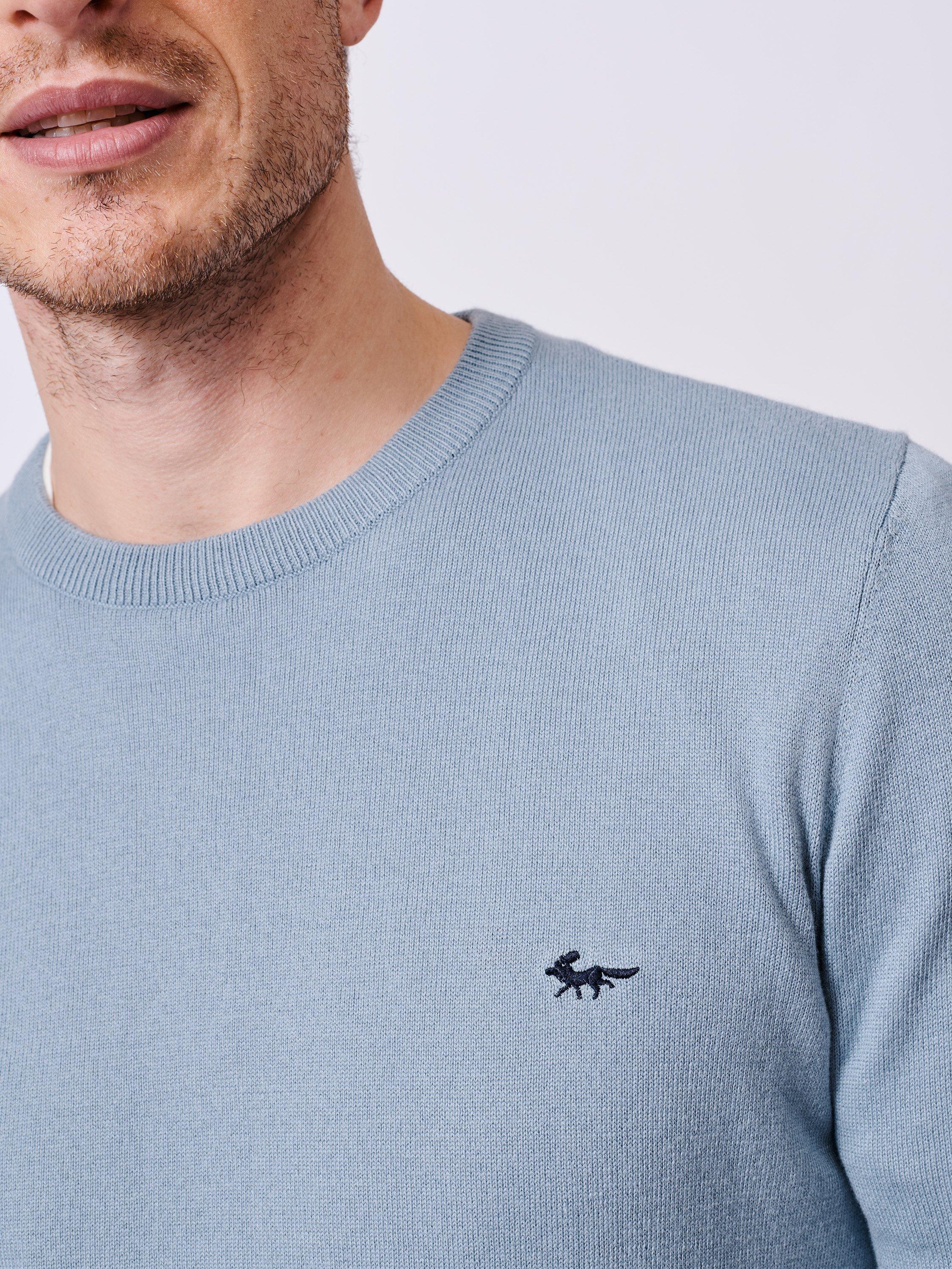 Product image 5 of 6, which shows Aubin Raven Cotton Crew Neck Jumper, Pale Blue, S