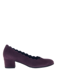 Gabor Gigi Wide Fit Scallop Edge Suede Courts, Purple