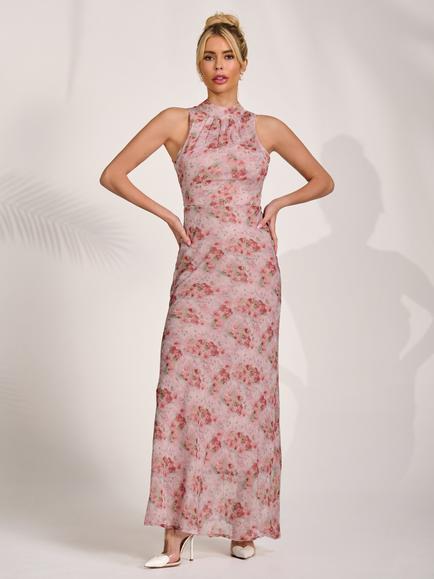 Jolie Moi Floral Chiffon Maxi Dress, Pink/Multi, Pink/Multi
