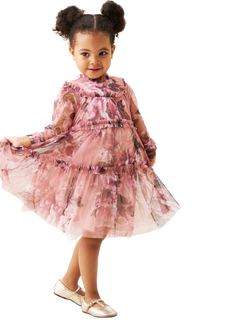 Angel & Rocket Kids' Mesh Long Sleeved Mesh Dress, Pink/Multi, Pink/Multi