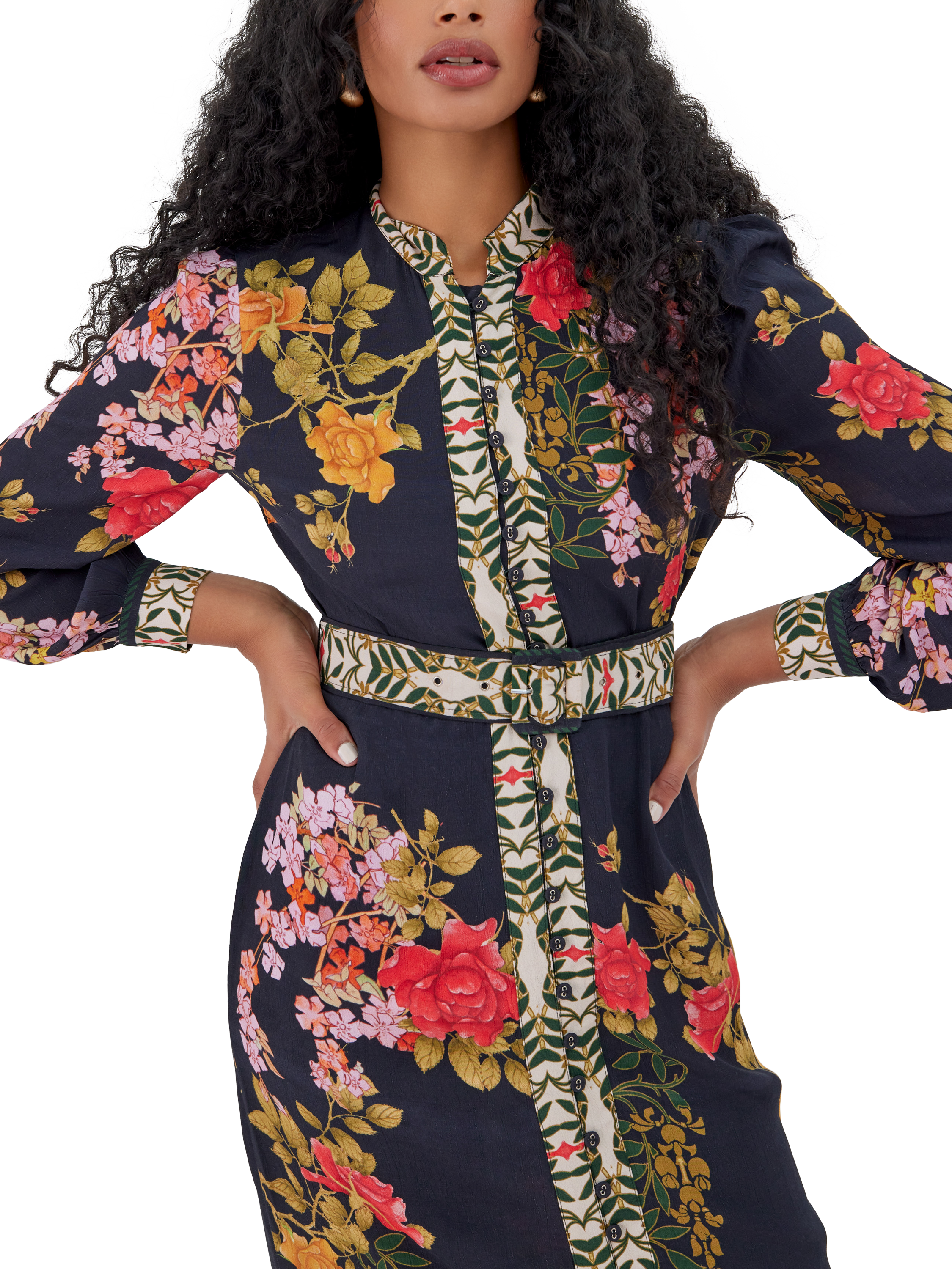 Product image 2 of 3, which shows Raishma Brenna Floral Dress, Black, 8