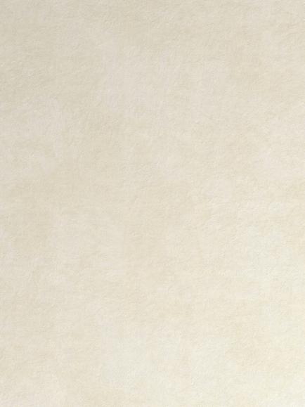 John Lewis Velvet Pair Lined Eyelet Curtains - view 2, Cream