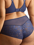Panache Dream Deep Sculptresse Lace Briefs