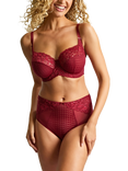 Panache Envy Jacquard Lace Deep Briefs
