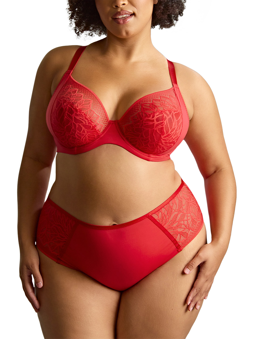 Product image 1 of 6, which shows Panache Sophia Sculptresse Lace Deep Briefs, Red, 12
