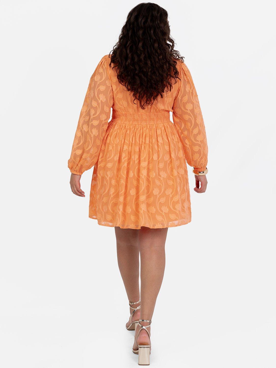 Product image 7 of 11, which shows Lovedrobe Floral Embroidered Mini Dress, Orange, 8
