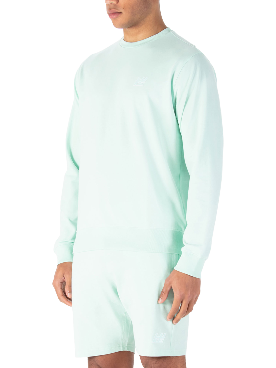 Product image 3 of 5, which shows LUKE 1977 Arbor Cotton Logo Sweatshirt, Mint, S
