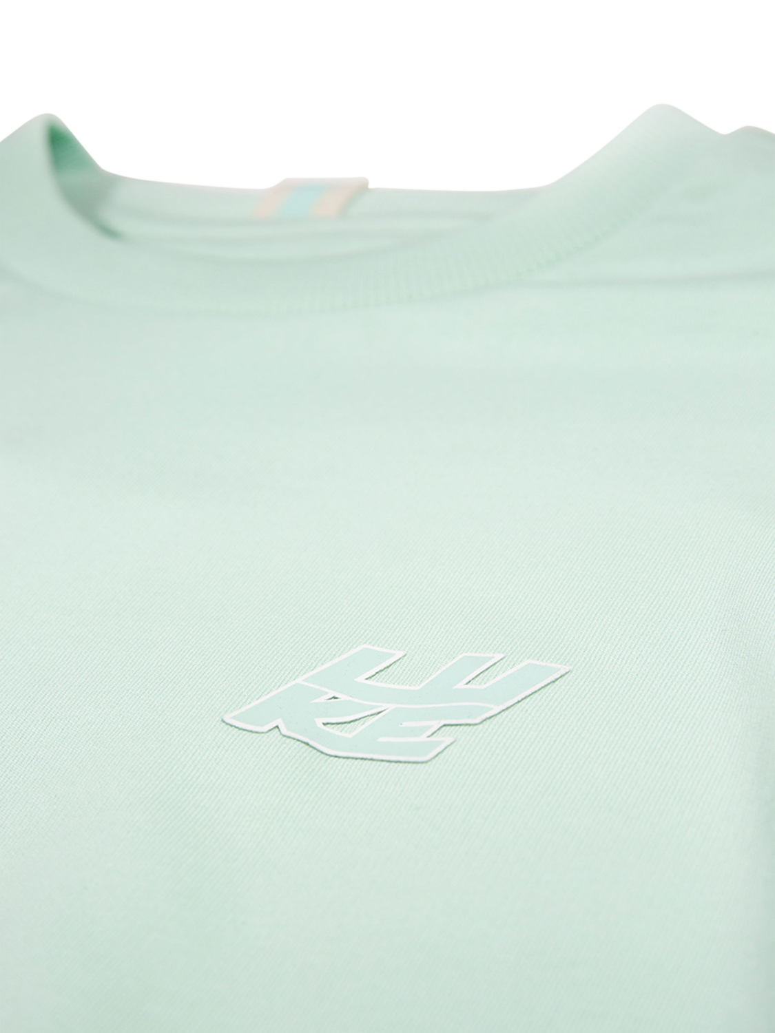 Product image 5 of 5, which shows LUKE 1977 Arbor Cotton Logo Sweatshirt, Mint, S