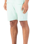LUKE 1977 Emory Cotton Logo Shorts, Mint