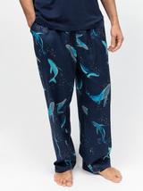 Cyberjammies Modal