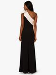 Adrianna Papell Colour Block Crepe Bow Dress, Black/Ivory