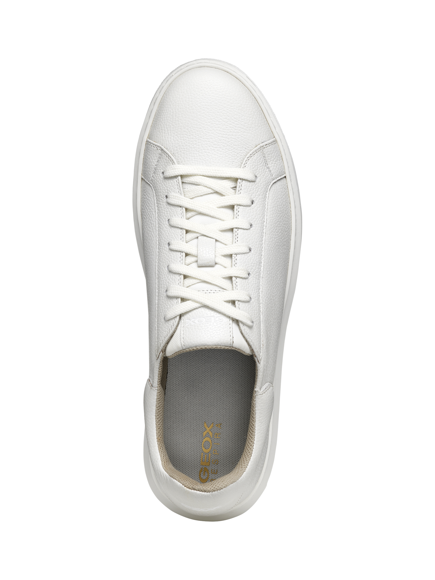 Product image 9 of 11, which shows Geox Deiven Low Top Leather Trainers, White, 6