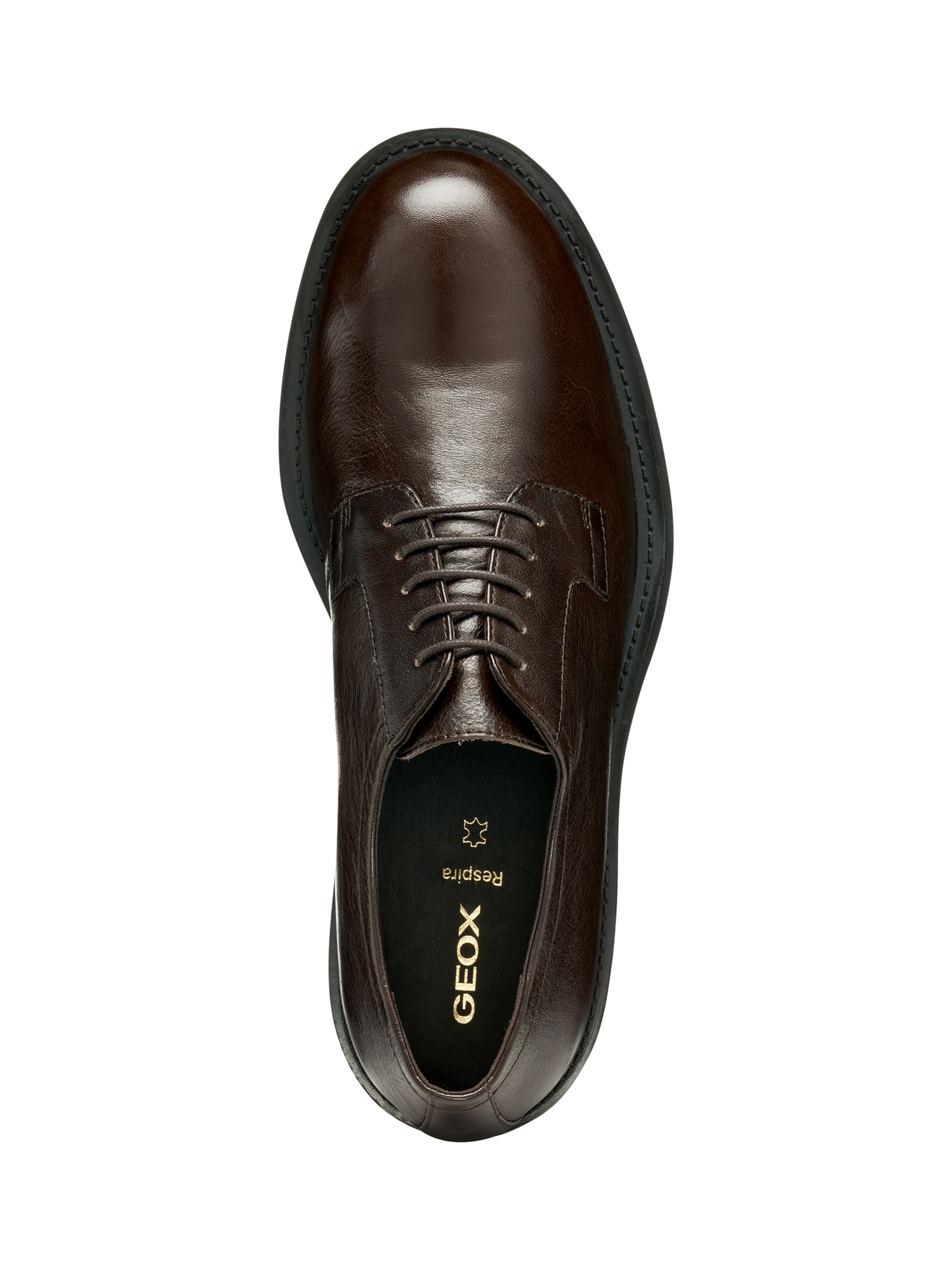 Product image 5 of 6, which shows Geox Redclif Leather Lace Up Brogues, Coffee, EU39