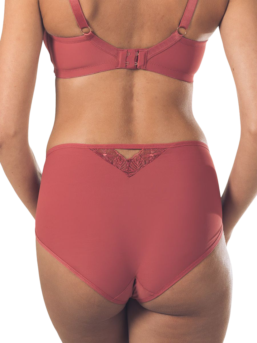 Product image 2 of 2, which shows Royce Florentine Embroidered High Waist Knickers, Rouge, 10-12