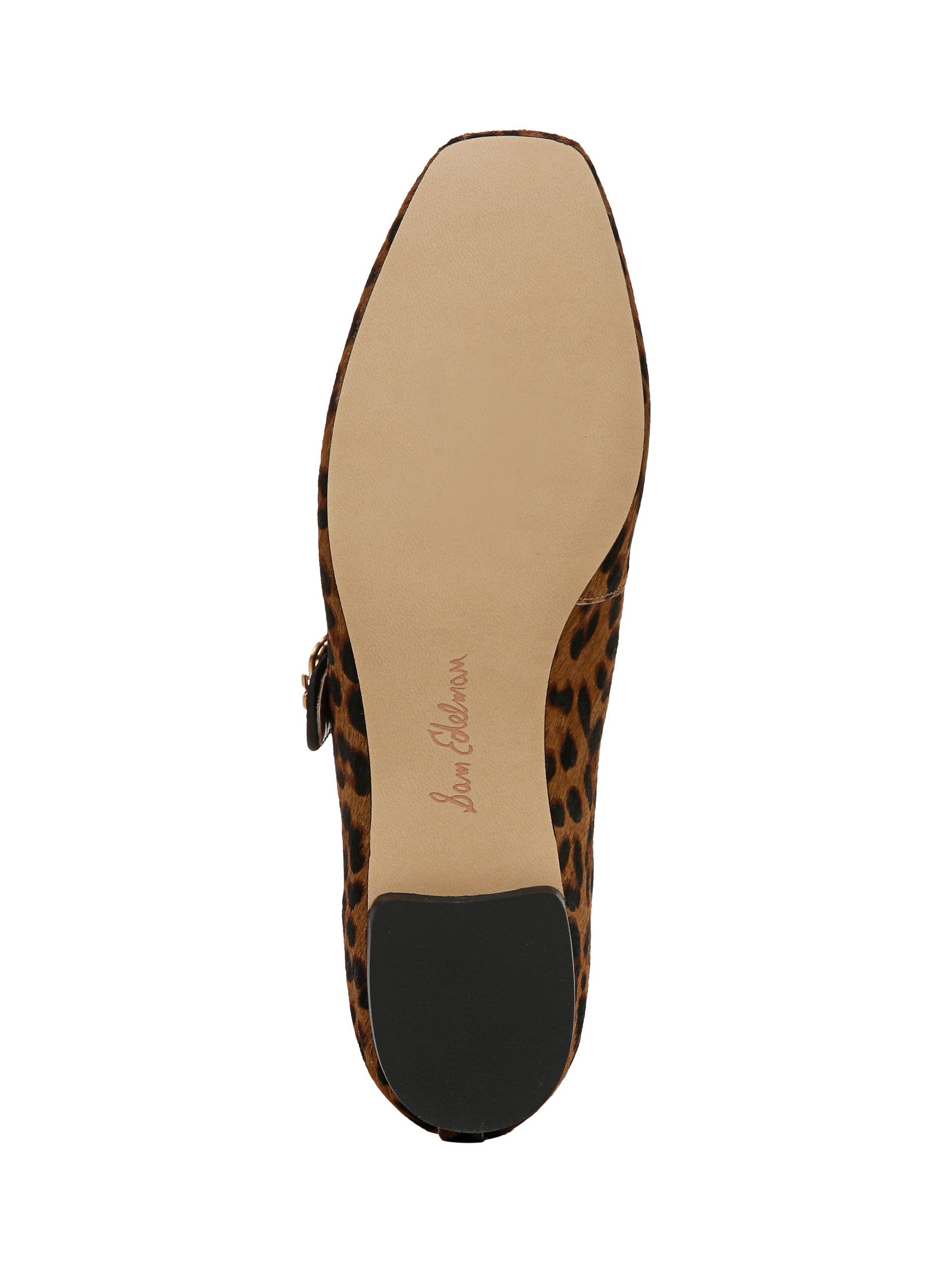 Product image 6 of 6, which shows Sam Edelman Michaela Mary Jane Ballerina Pumps, Brown/Black, 6
