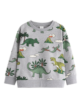 Grey Sweatshirts