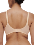 Chantelle Pure Lace Spacer T-Shirt Bra, Black, Golden Beige