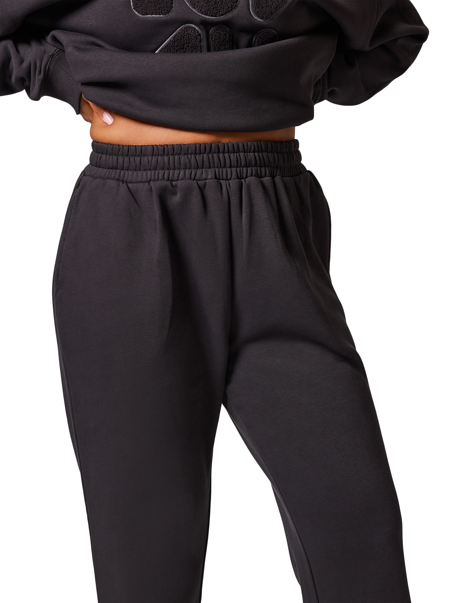 Product image 3 of 4, which shows Lovall Petite Fleece Cuffed Joggers, Shadow, 22