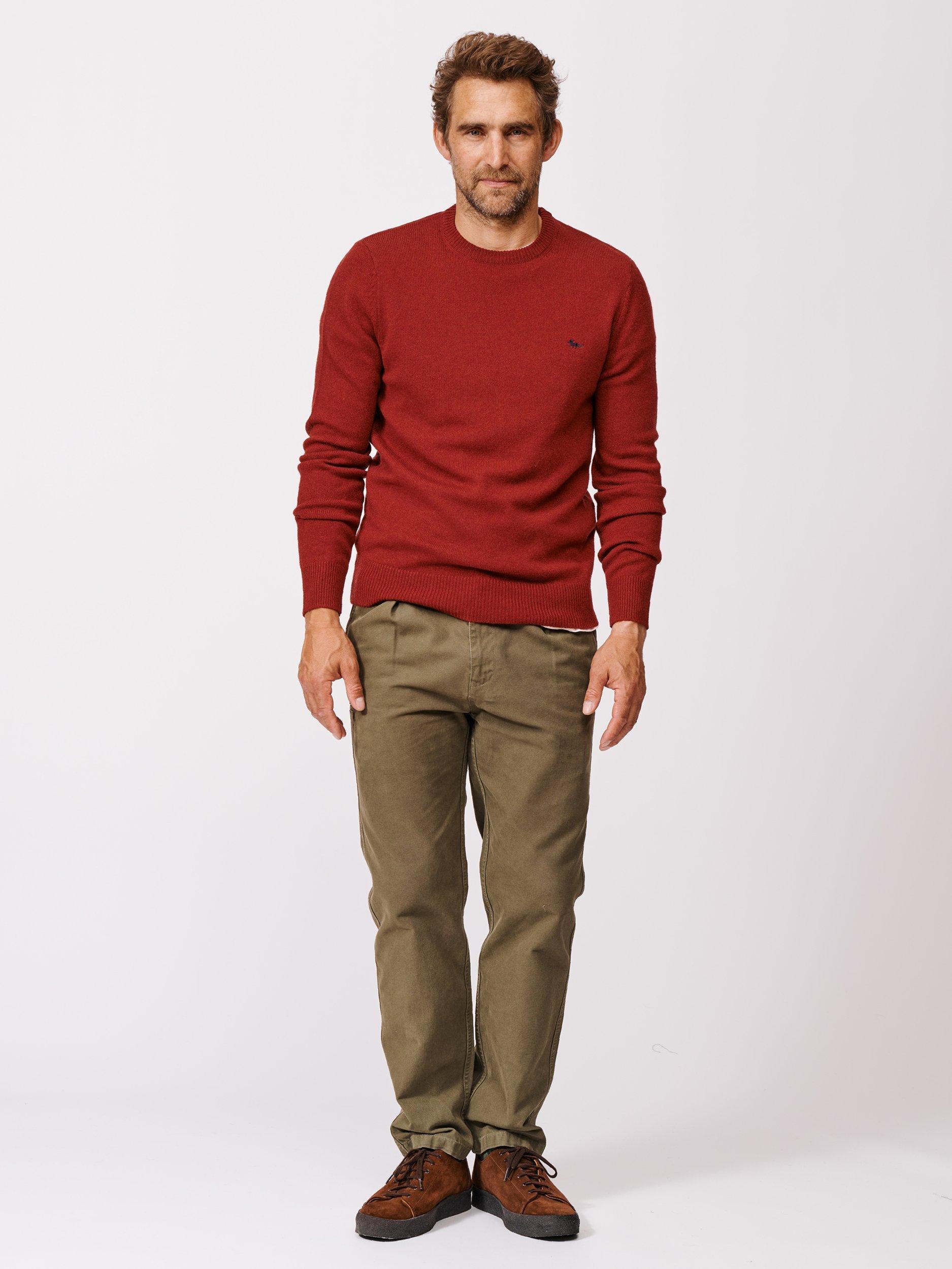 Product image 3 of 5, which shows Aubin Westbourne Crew Neck Merino Wool Jumper, Dark Rust, S