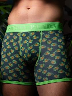 Swole Panda Leaves & Plain Bamboo Boxer Shorts, Pack of 2, Navy/Green - view 2, Navy/Green