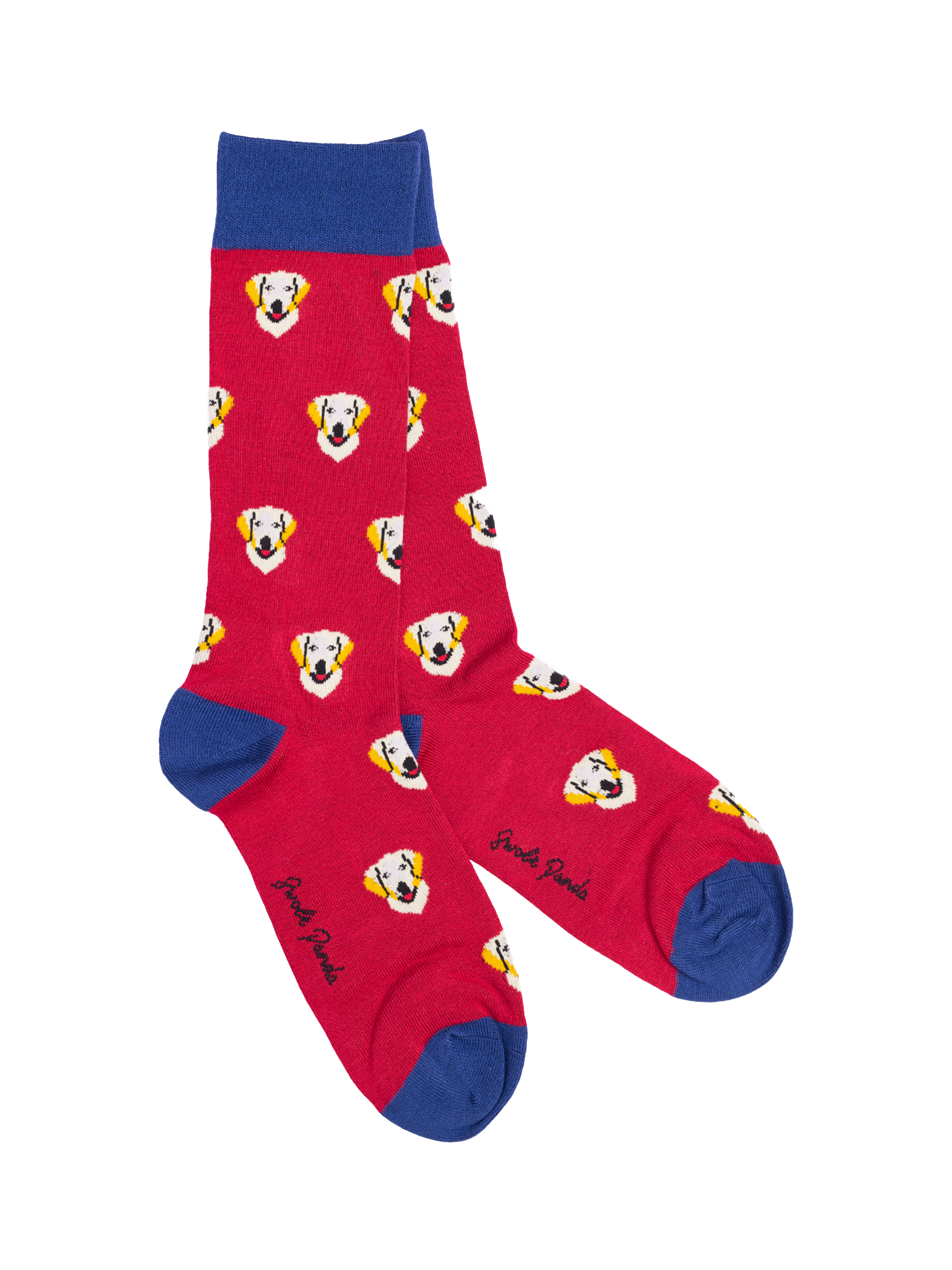 Product image 2 of 6, which shows Swole Panda Pets Bamboo Socks, Pack of 4, Multi, 7-11