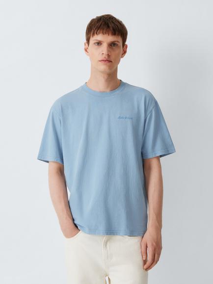 Dickies Plentywood Cotton T-Shirt, Endless Sky, Endless Sky