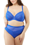 Oola Lingerie Lace and Logo High Waist Knickers, Cobalt