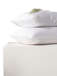 Truly Bamboo Duvet Cover Set