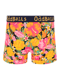 OddBalls Hibiscus Stretch Cotton Boxer Shorts, Multi