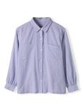 Celtic & Co. Stripe Side Split Shirt, Blue