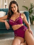 Pour Moi Sofia Lace Embroidered Deep Knickers