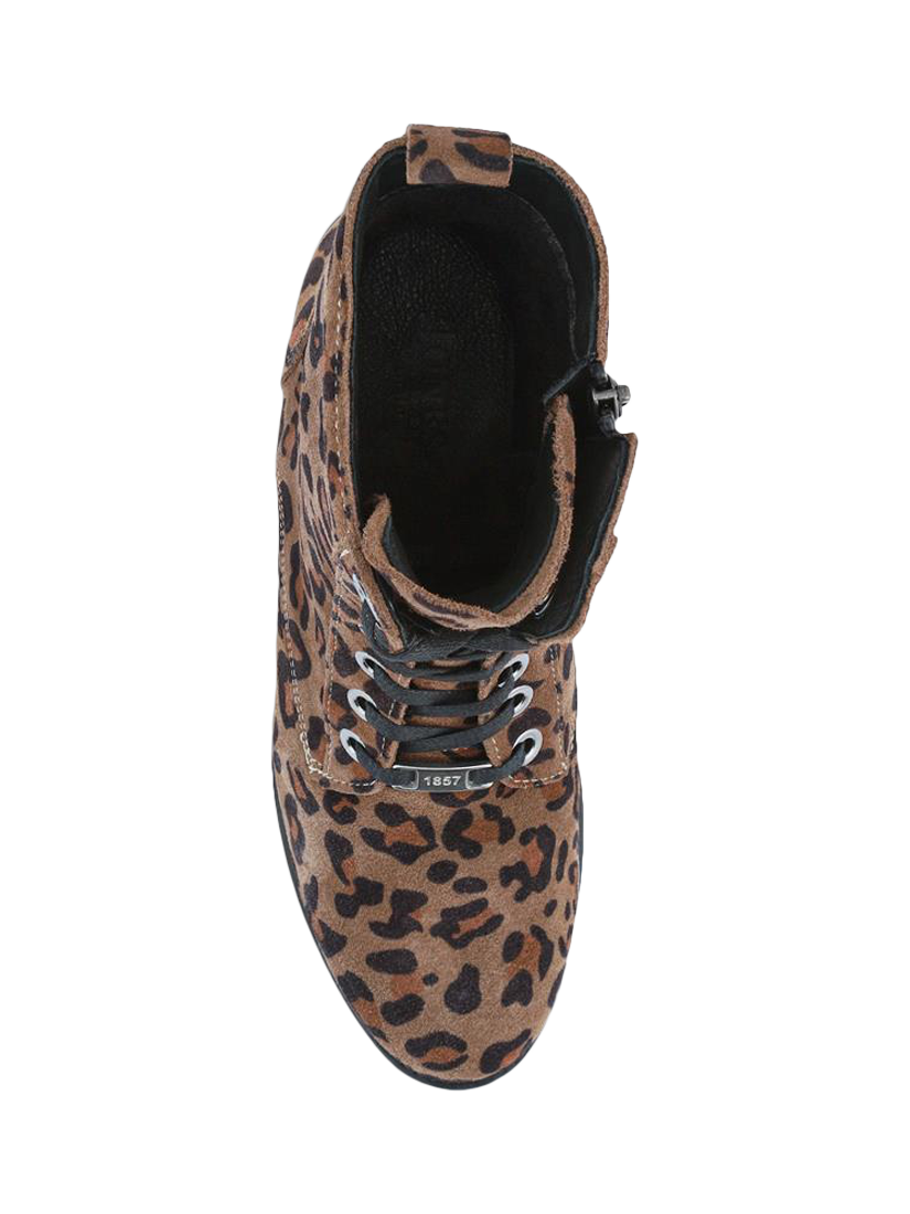 Product image 4 of 5, which shows Jones Bootmaker Maura Leather Leopard Print Lace Up Ankle Boots, Leopard, 6