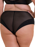 Curvy Kate Enchant Floral High Waist Knickers