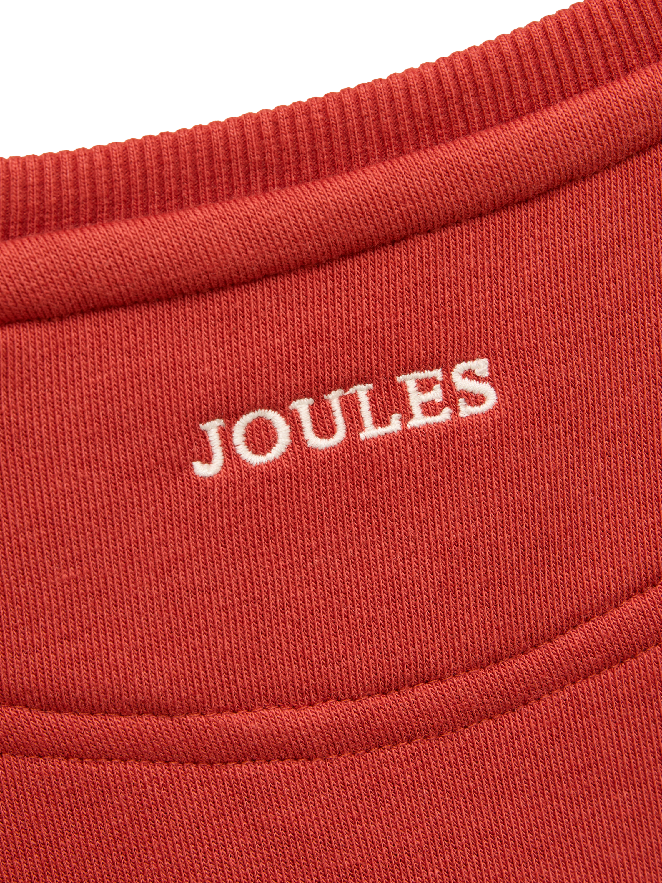 Product image 4 of 5, which shows Joules Kids' Cotton Blend Sundaze Sweatshirt, Rust Red, 4-5 years