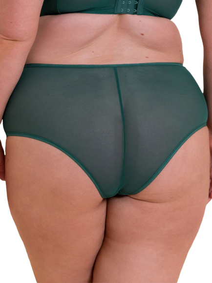 Curvy Kate Victory Semi-Sheer Short Knickers - view 2, Forest Green