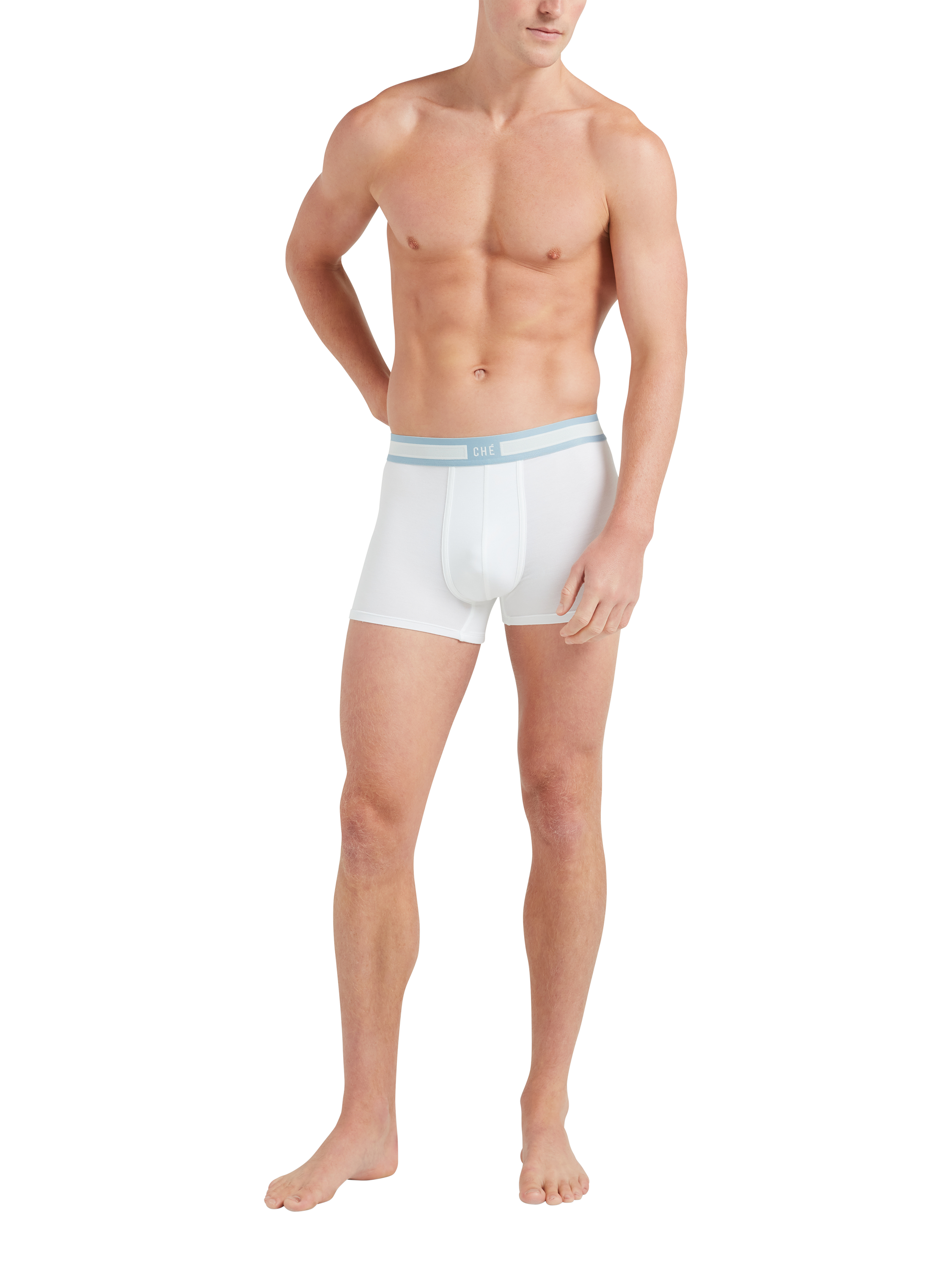 Product image 5 of 7, which shows CHÉ Studios Signature Stripe Trunks, Pack of 3, Multi, S