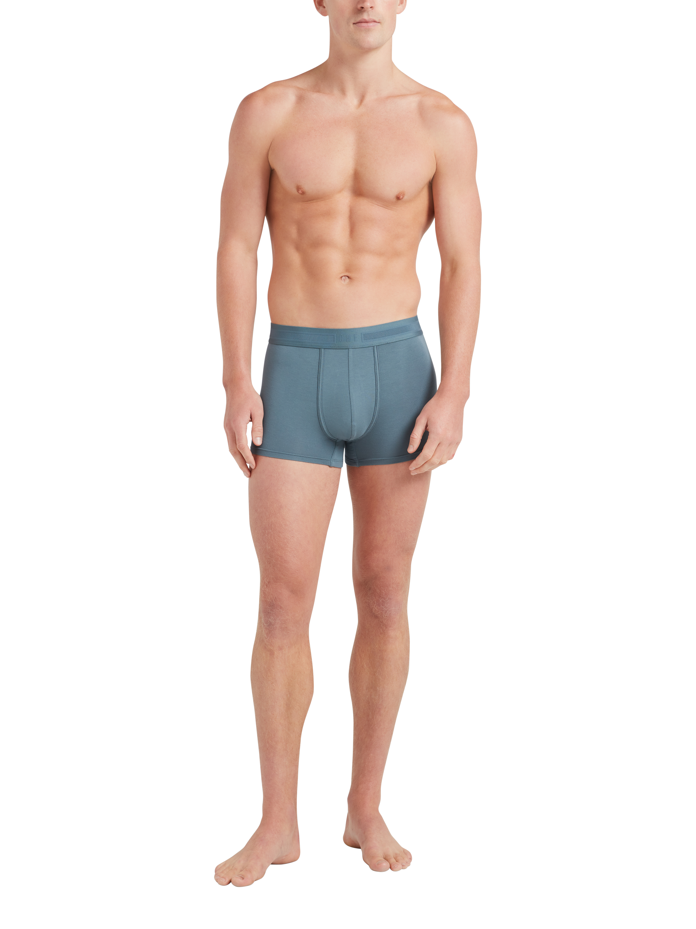Product image 5 of 6, which shows CHÉ Studios Tonal Stripe Trunks, Pack of 3, Multi/Multi, S