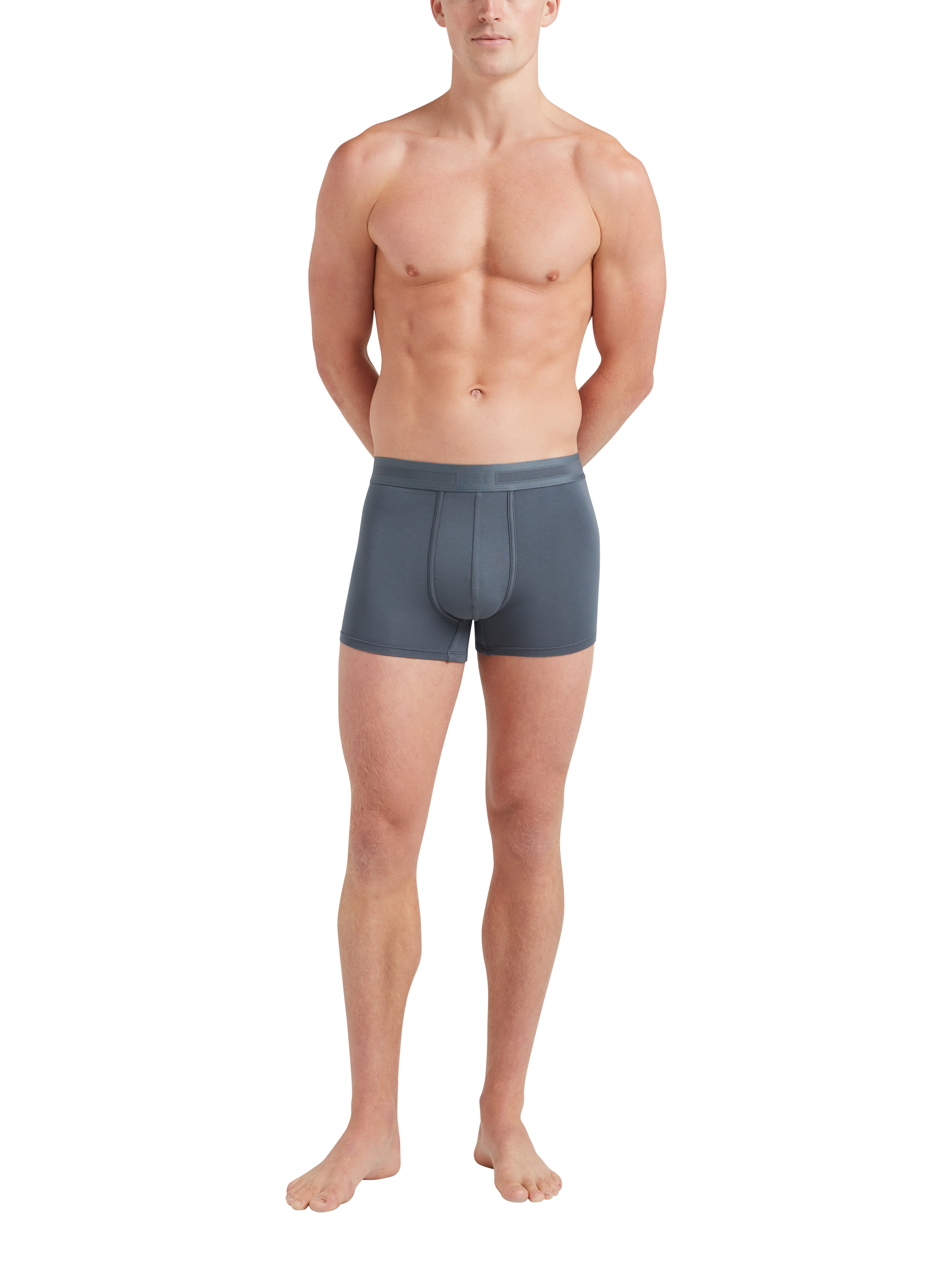 Product image 6 of 6, which shows CHÉ Studios Tonal Stripe Trunks, Pack of 3, Multi/Multi, S
