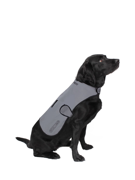 Proviz Reflective Waterproof Dog Coat, Silver, Silver