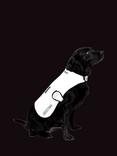 Proviz Reflective Waterproof Dog Coat, Silver