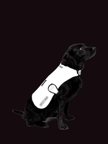Proviz Reflective Waterproof Dog Coat, Silver - view 2, Silver