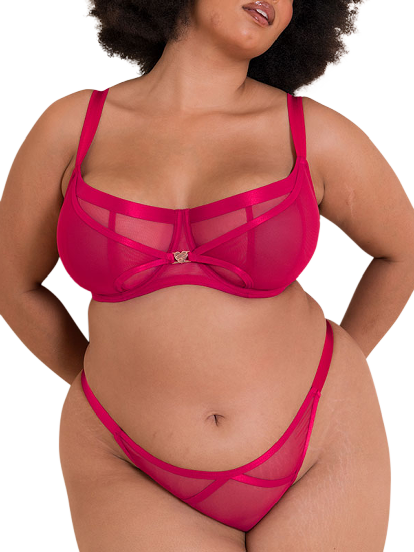 Product image 3 of 7, which shows Curvy Kate Loved Up Brazilian Knickers, Crimson, S