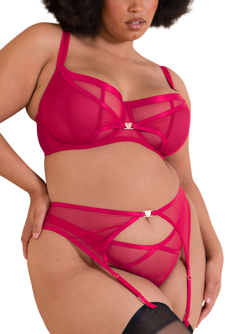 Product image 4 of 7, which shows Curvy Kate Loved Up Brazilian Knickers, Crimson, S
