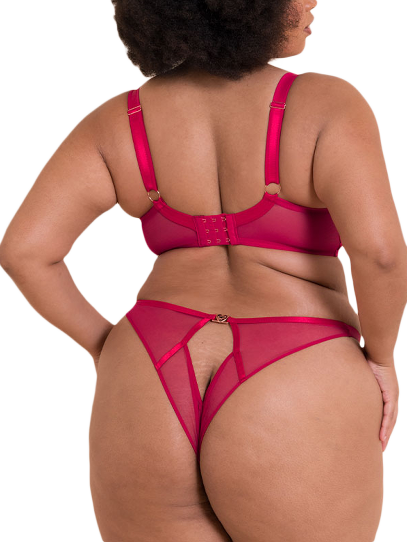 Product image 5 of 7, which shows Curvy Kate Loved Up Brazilian Knickers, Crimson, S