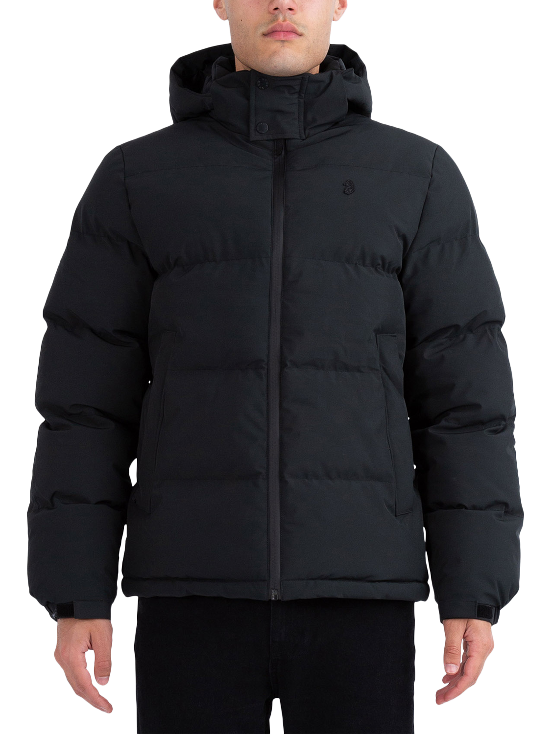 Product image 1 of 7, which shows LUKE 1977 Auckland Padded Jacket, Black, S